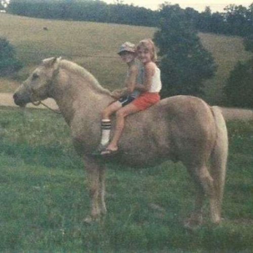A Horse Of Course